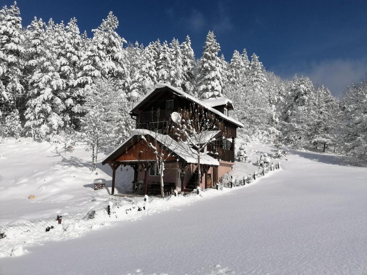 Вилла Vikendica Moonlight Zaovine Экстерьер фото